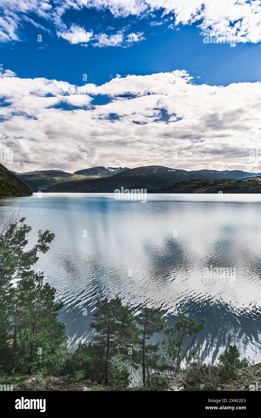 Vista tranquilla su Tingvollfjorden in Norvegia, con acque calme e riflessi sotto un cielo nuvoloso estivo blu. Foto Stock