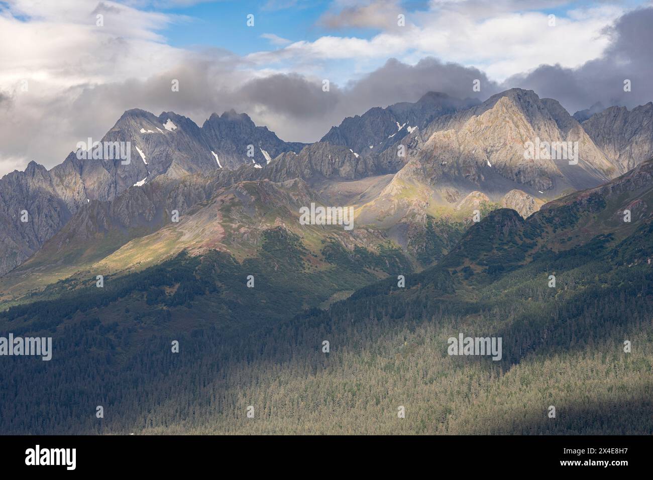 USA, Alaska, Chugach National Forest. Paesaggio montano e forestale. Foto Stock