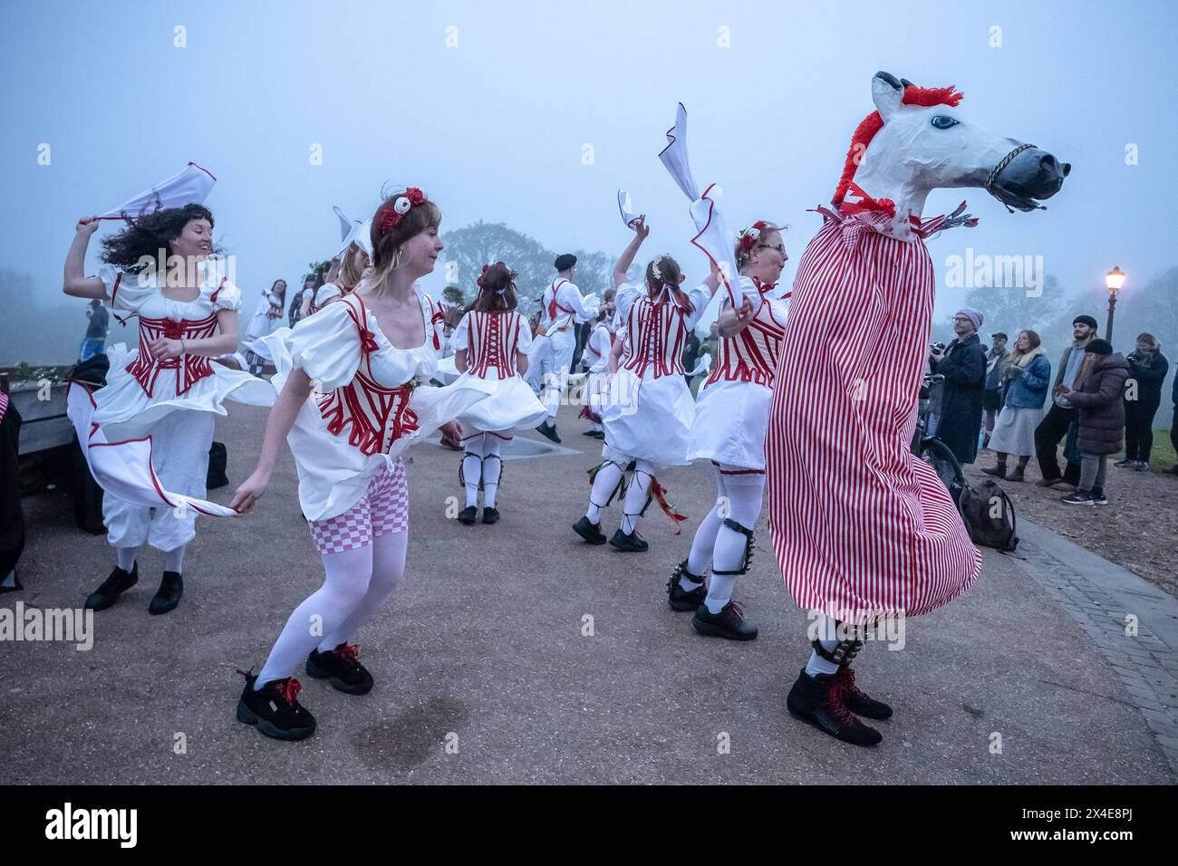 Le Belles of London City, gruppo femminile di Morris, si esibiscono in una danza del giorno di maggio durante un'alba nebbiosa a Primrose Hill, Londra, Regno Unito Foto Stock