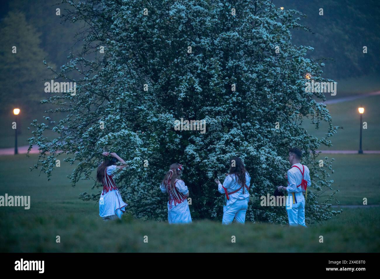 Le Belles of London City, gruppo femminile di Morris, si esibiscono in una danza del giorno di maggio durante un'alba nebbiosa a Primrose Hill, Londra, Regno Unito Foto Stock