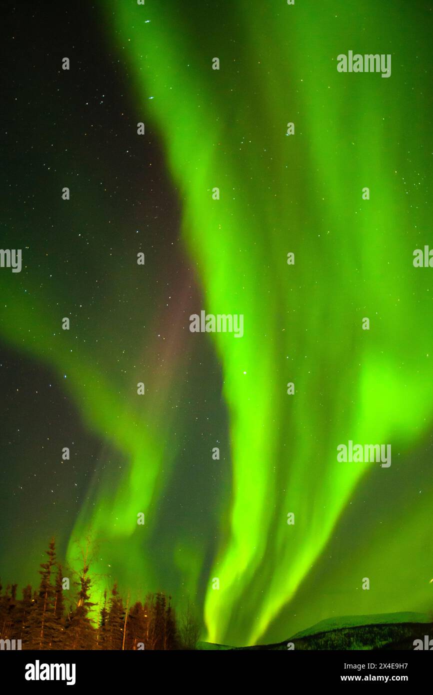 USA, Alaska, Chena Hot Springs Resort. L'aurora boreale riempie il cielo notturno. Foto Stock