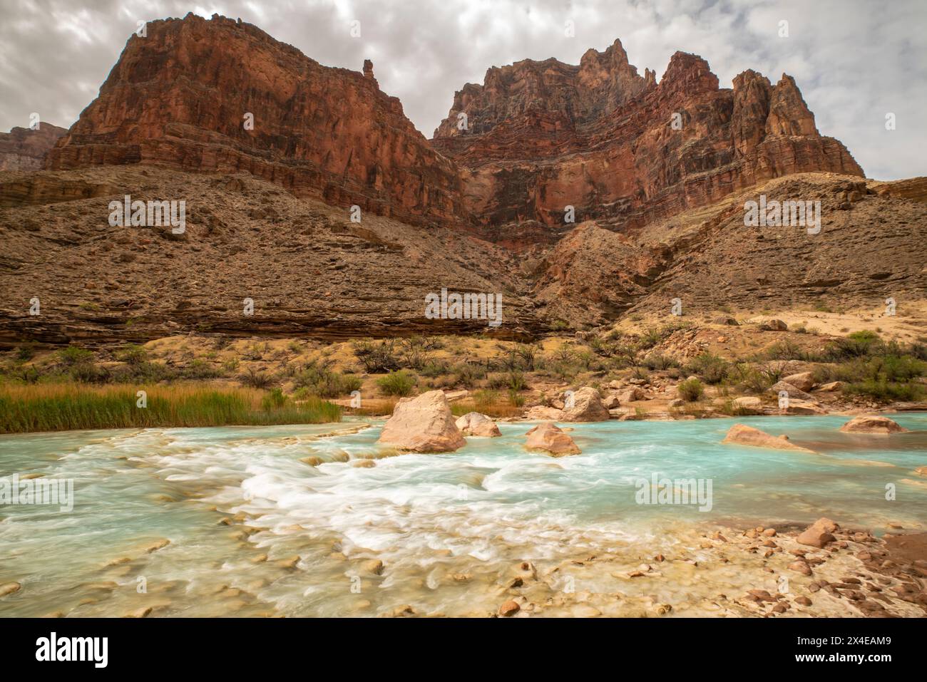 Stati Uniti, Arizona, Parco Nazionale del Grand Canyon. Rapide sul fiume Little Colorado. Foto Stock