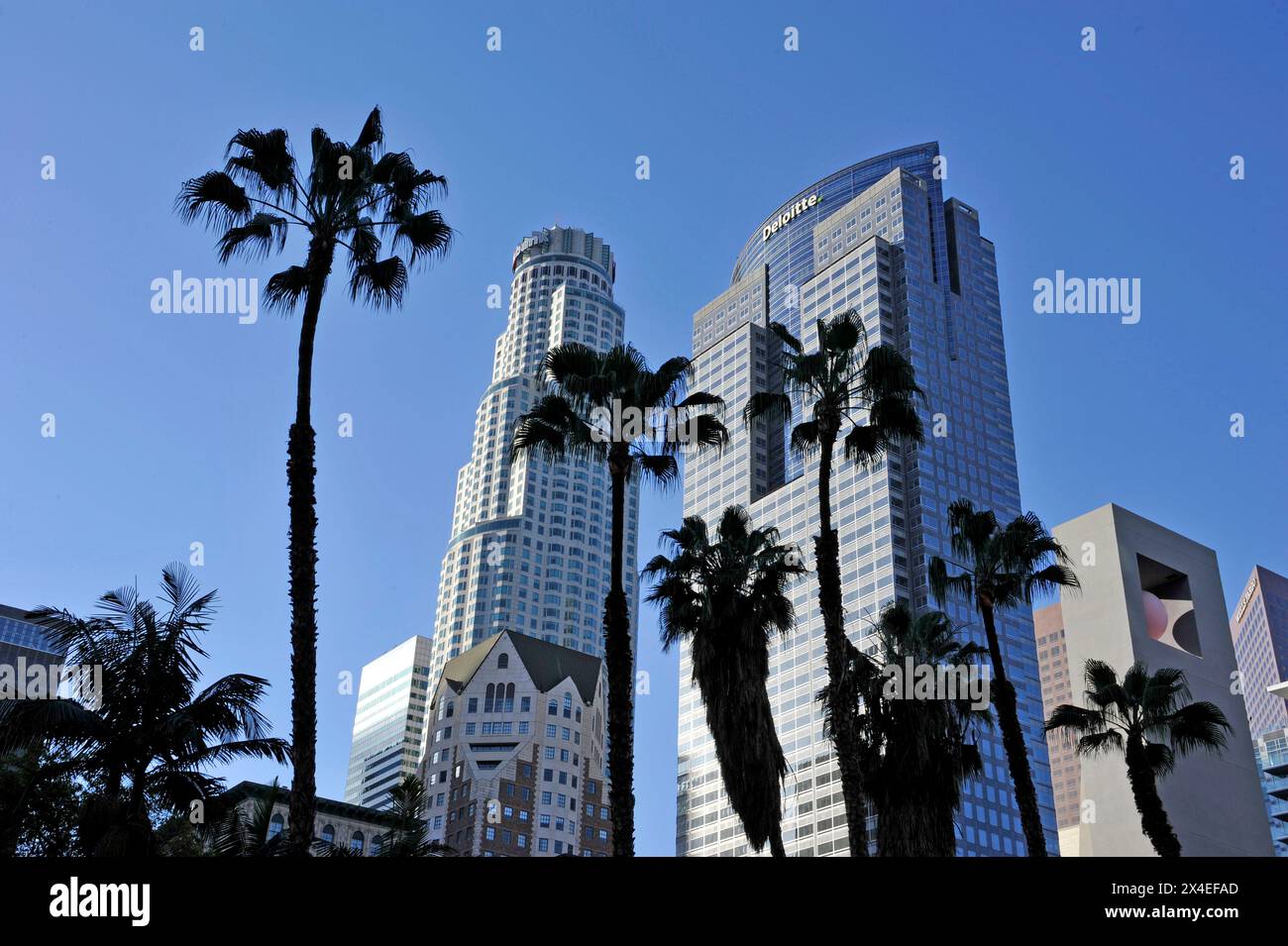 Skyline del centro città con palme, Los Angeles, California, Stati Uniti Foto Stock