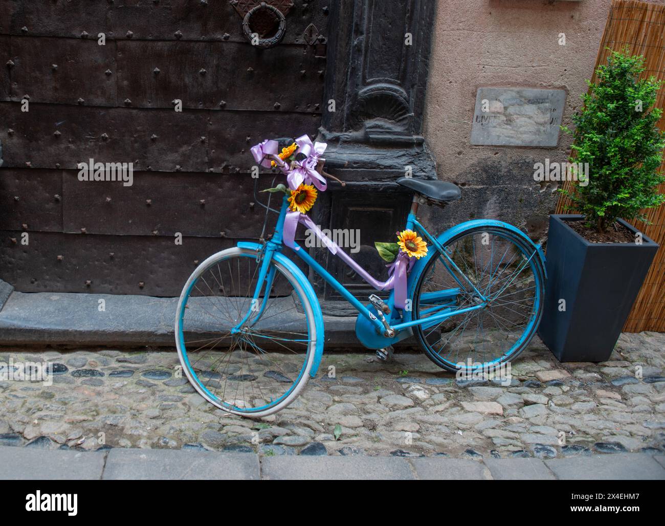 Bicicletta con vaso di fiori sul manubrio Foto Stock