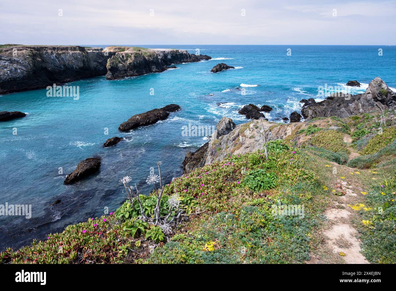 Stati Uniti, California. Oceano Pacifico, scogliere al limitare del Mendocino Headlands State Park. Foto Stock