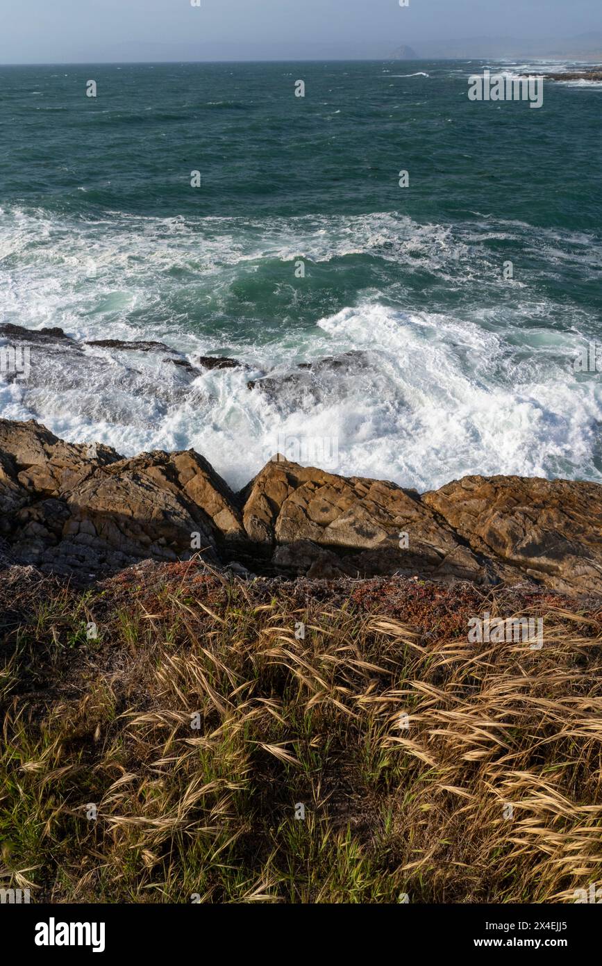 Stati Uniti, California. Montana de Oro State Park. Foto Stock