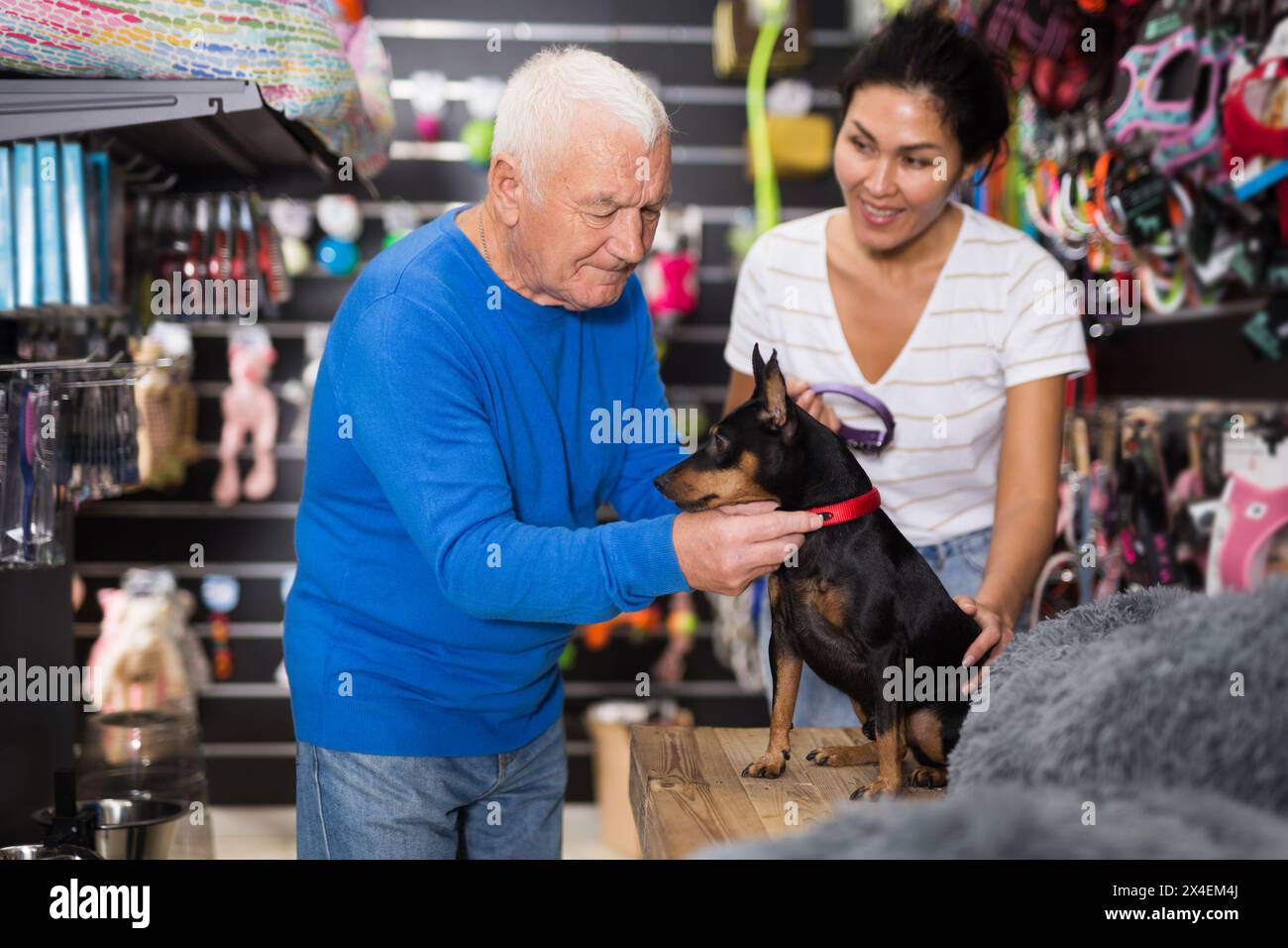 Donna che sceglie il collare per il suo cane in negozio di animali domestici Foto Stock