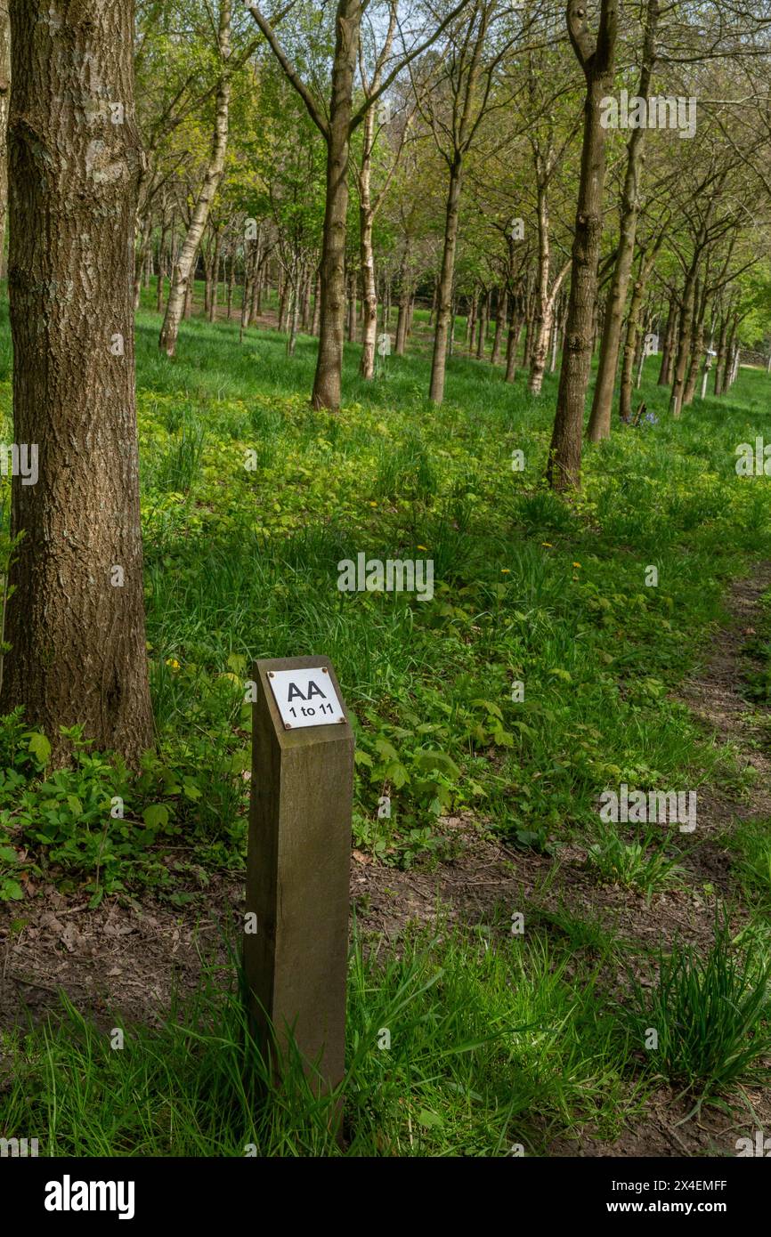 Un posto sull'albero in un bosco commemorativo a St Ives Estate, Harden, Bingley. Il post mostra la posizione di ogni albero dedicato. Foto Stock