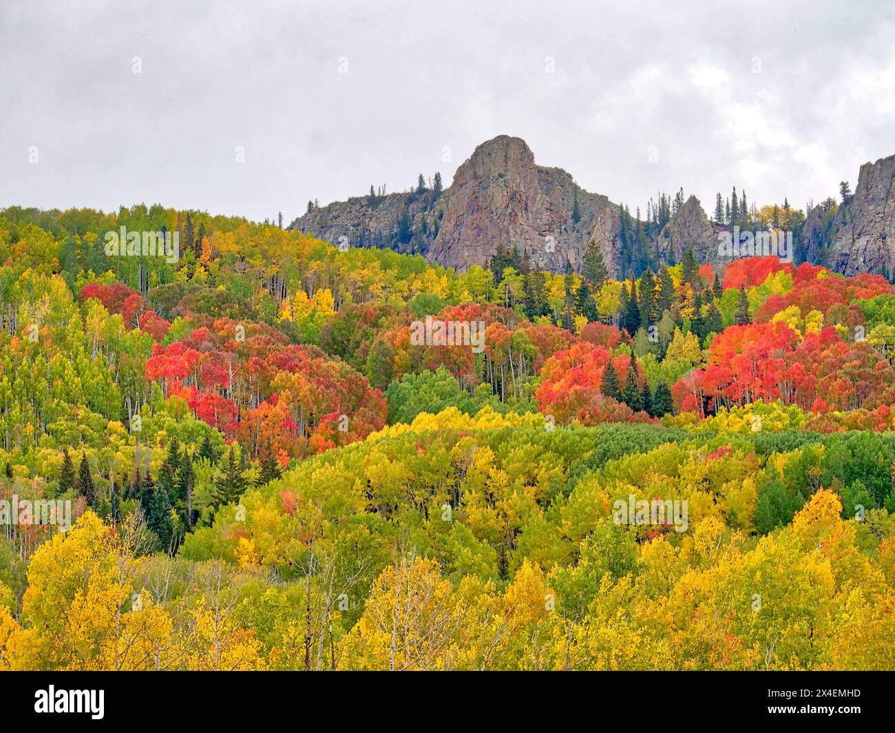 USA, Colorado, passo di Kebler. Colori brillanti dell'autunno sul passo di Kebler Foto Stock