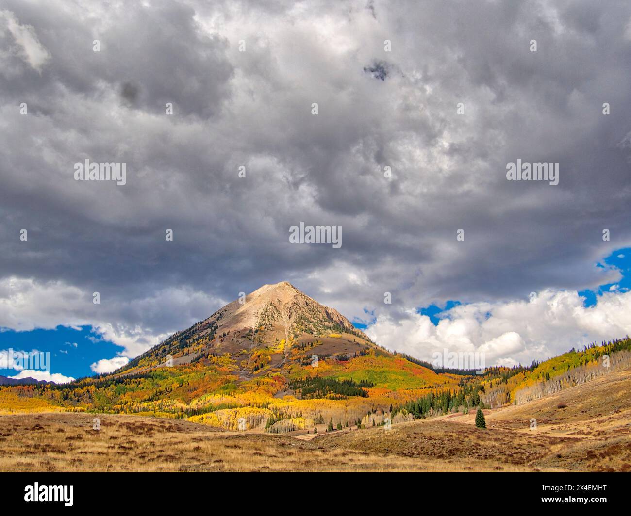 USA, Colorado, passo di Kebler. Beckwith Mountain con colori autunnali Foto Stock
