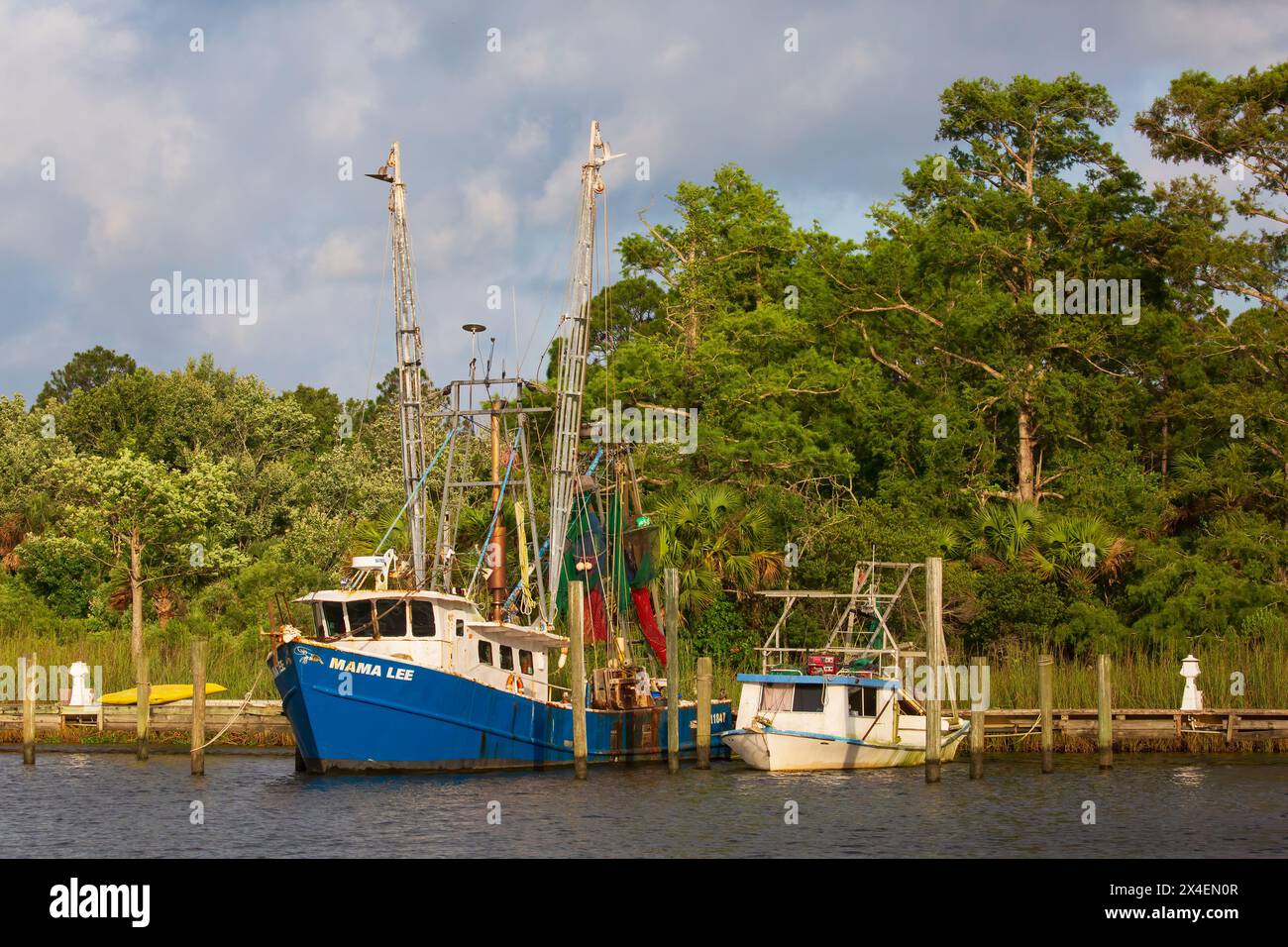 USA, Florida, Apalachicola. Imbarcazioni per gamberi nel porto di Apalachicola. (Solo per uso editoriale) Foto Stock