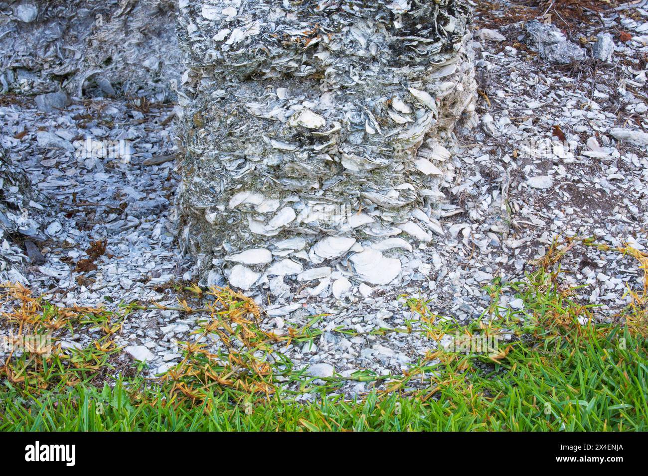 Stati Uniti, Georgia, Darien. Tabby rovine di un vecchio muro di magazzino. Foto Stock