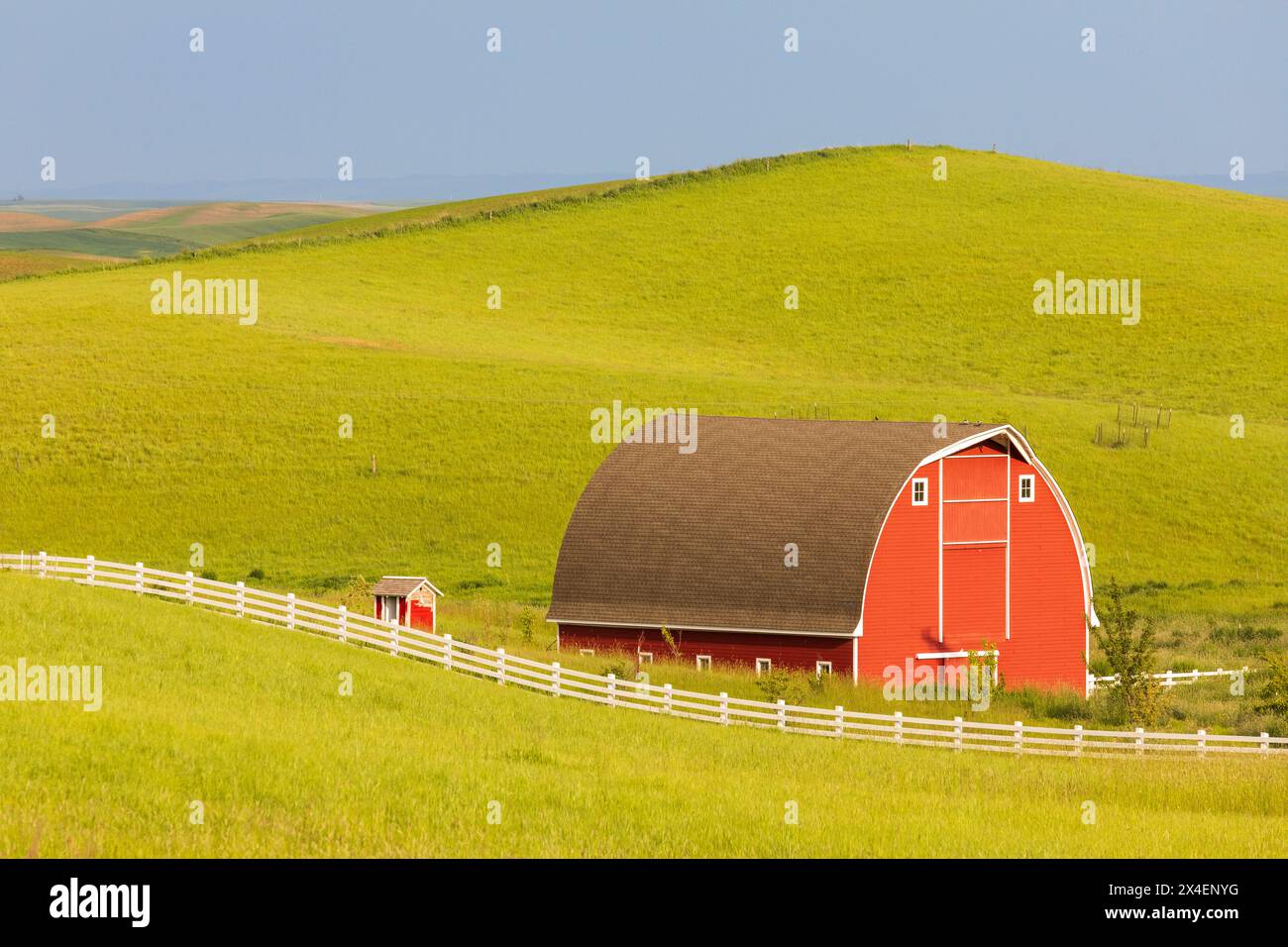 USA, Idaho, Mosca. Red Barn e campi di grano verde. (Solo per uso editoriale) Foto Stock