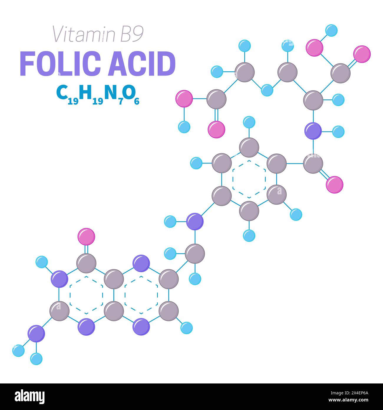 Illustrazione della struttura delle molecole della vitamina B9 dell'acido folico Illustrazione Vettoriale