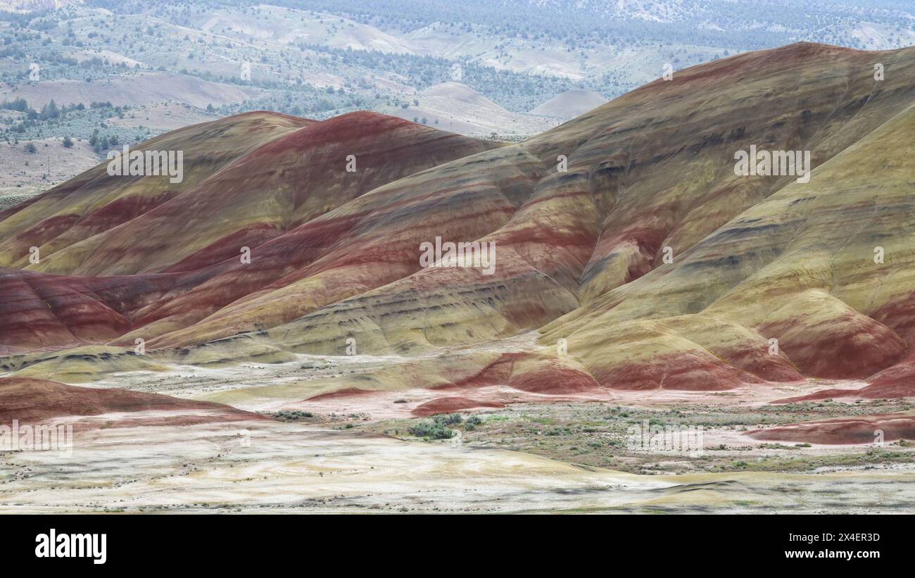 John Day Fossil Beds Painted Hills Unit, colorata collina in primavera con calde sfumature di colore nel paesaggio Foto Stock