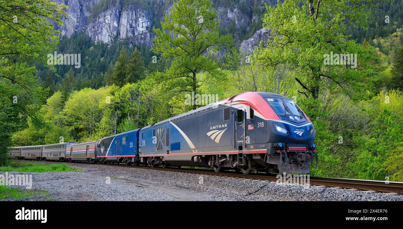 Index, WA, USA - 1° maggio 2024; treno passeggeri a lunga percorrenza Amtrak Empire Builder nella catena montuosa delle Cascade con alberi verdi e motore blu Foto Stock