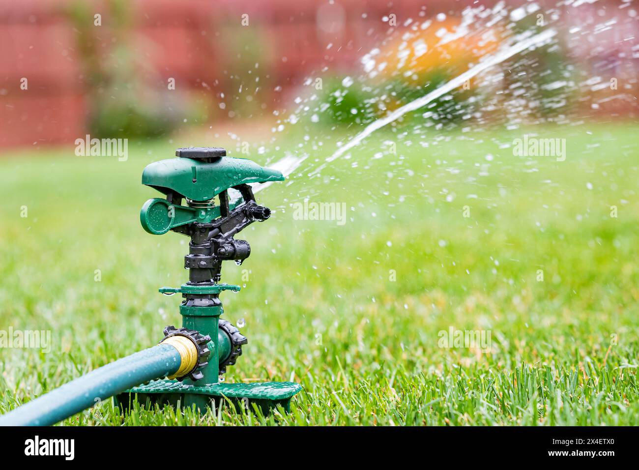 Prato irrigatore erba in cortile. Uso dell'acqua, limitazioni e concetto di assistenza legale Foto Stock