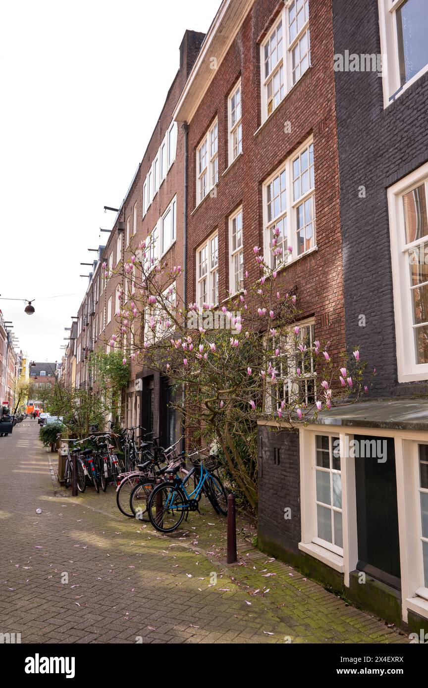 Edifici lungo una strada nel quartiere centrale di Amsterdam, Paesi Bassi. Foto Stock