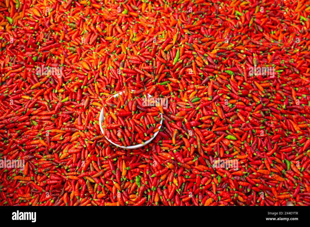 Chillies in vendita al mercato di Bac ha, provincia di Lao Cai, Vietnam Foto Stock
