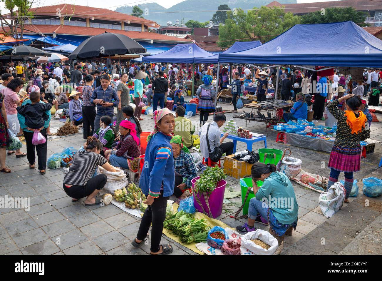 Mercato affollato nel mercato di Bac ha nella provincia di Lao Cai, Vietnam Foto Stock