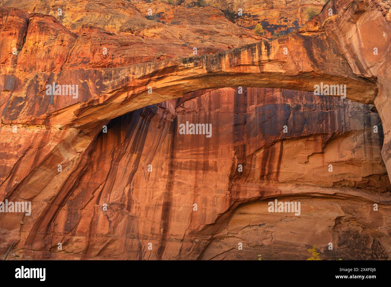 Escalante Natural Bridge, Grand Staircase-Escalante National Monument, Utah. Foto Stock