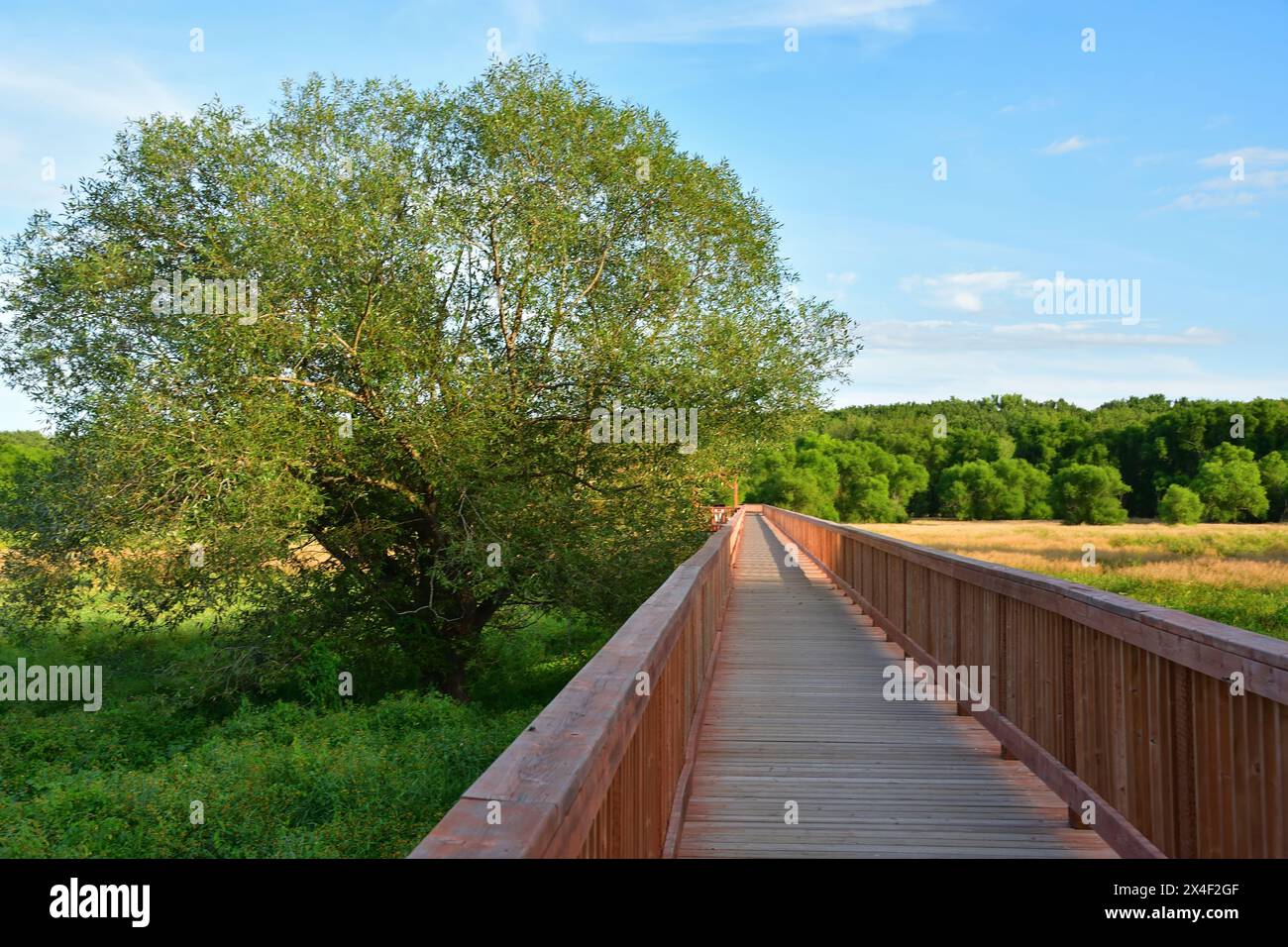 Passerella di attraversamento immagini e fotografie stock ad alta ...