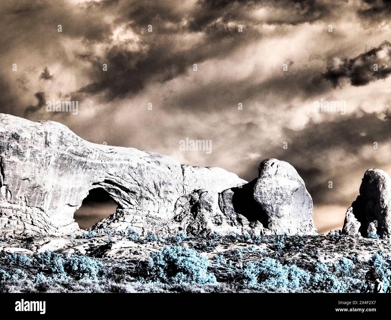 Stati Uniti, Utah, Arches National Park. Infrarossi della formazione rocciosa del Giardino dell'Eden Foto Stock