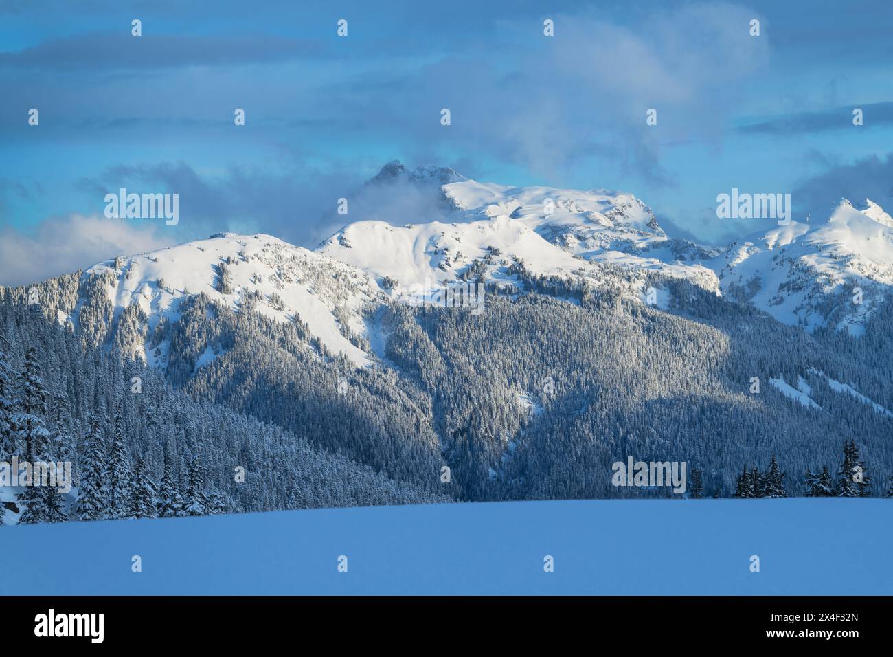 Tomyhoi Peak in inverno, Mt. Baker-Snoqualmie National Forest, North Cascades, Washington State Foto Stock