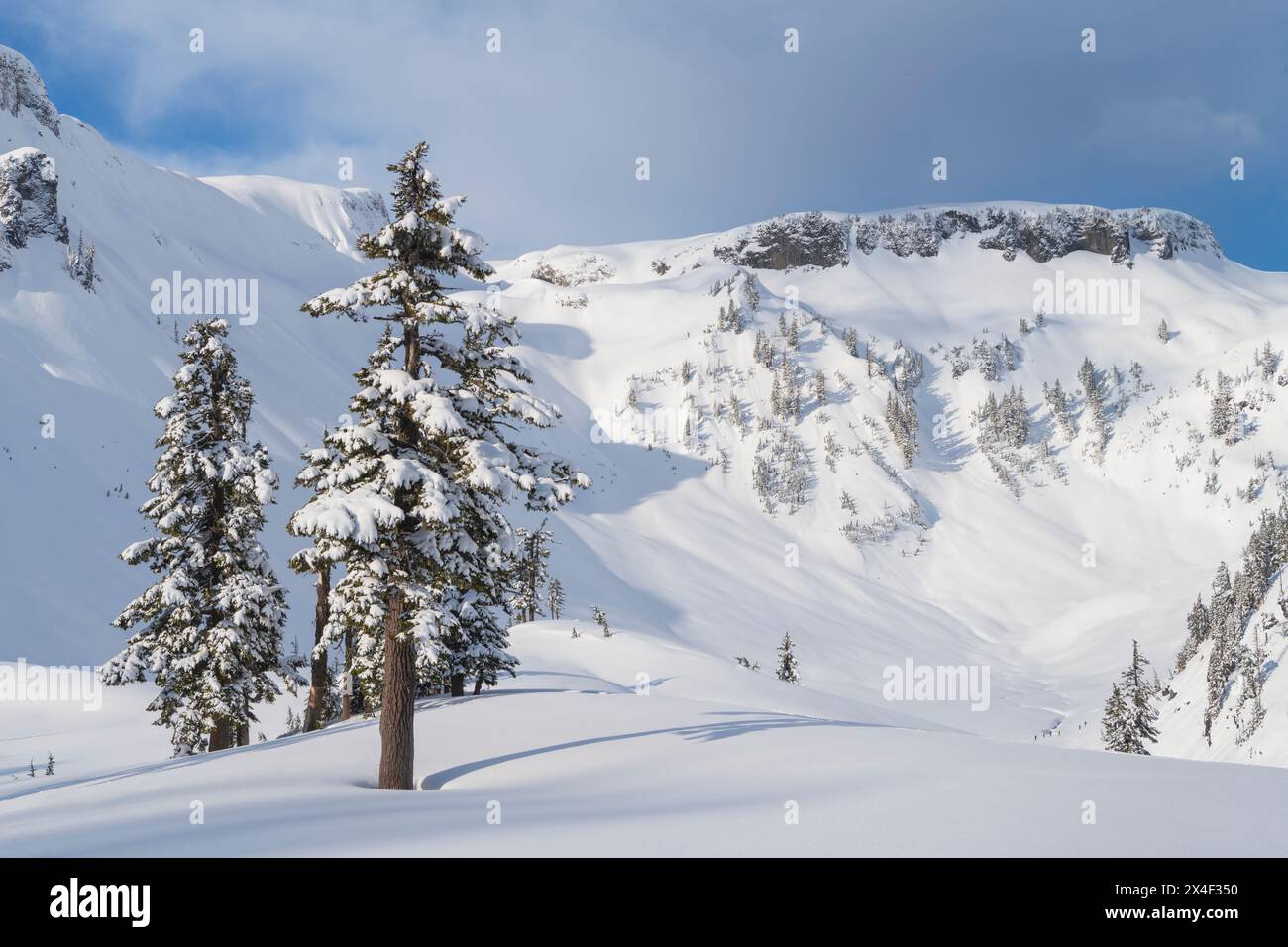 Table Mountain in inverno. Heather Meadows, Mt. Baker-Snoqualmie National Forest, North Cascades, Washington State Foto Stock