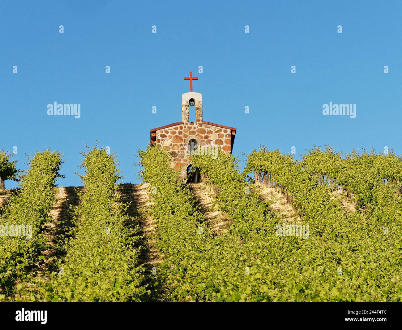 Vigneti Red Willow con cappella in pietra. (PR) Foto Stock