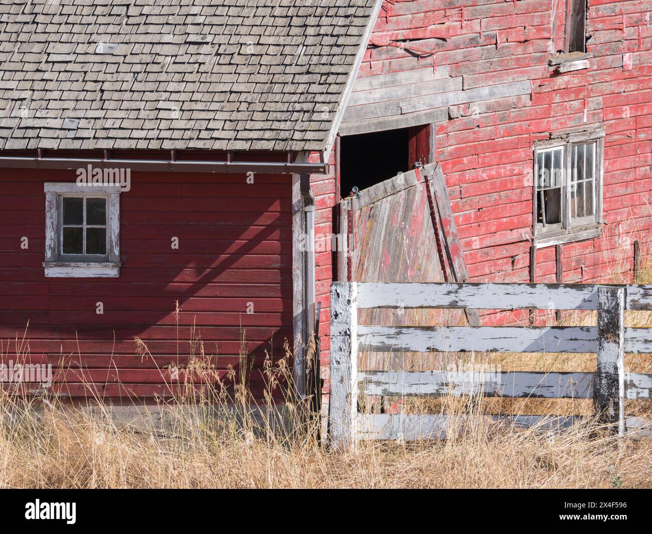 Primo piano di un fienile rosso circondato da erbe essiccate in estate. Foto Stock