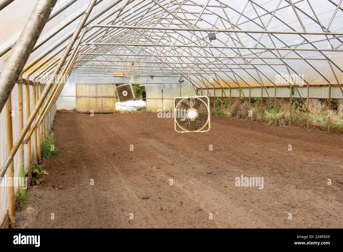 Port Townsend, Stato di Washington, Stati Uniti. Serra commerciale vuota, pronta per la piantagione. Foto Stock