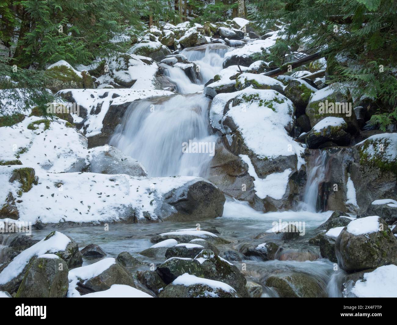 Stati Uniti, Stato di Washington. Cascate centrali, Mount Baker Snoqualmie National Forest. Humpback Creek scorre su massi innevati del fiume Foto Stock