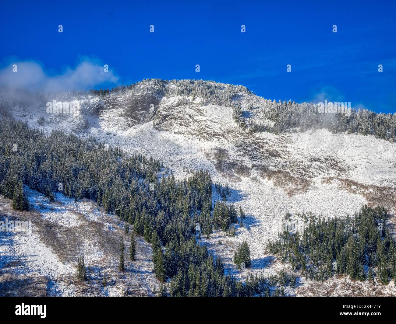 Stati Uniti, Stato di Washington. Cascate centrali, Mount Baker Snoqualmie National Forest. Vista sulle megattere con nuvole e neve fresca Foto Stock