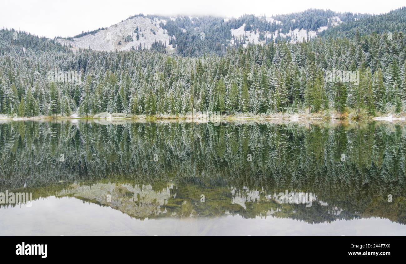 Stati Uniti, Stato di Washington. Cascate centrali, lago Olallie e abeti innevati Foto Stock