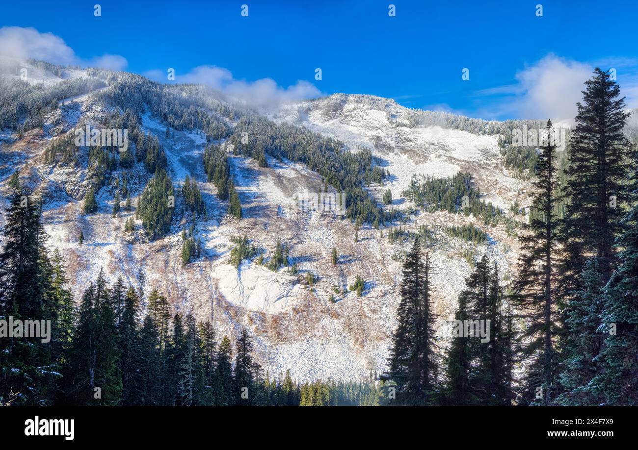 Stati Uniti, Stato di Washington. Cascate centrali, Mount Baker Snoqualmie National Forest. Vista sulle megattere con nuvole e neve fresca Foto Stock