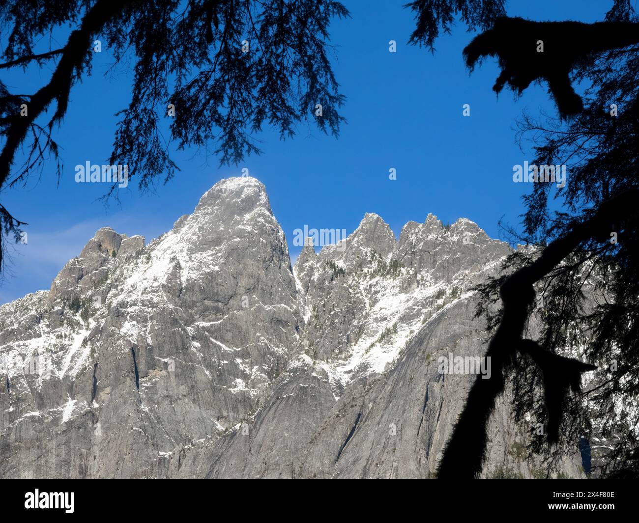 Stati Uniti, Stato di Washington. Cascate centrali, vette innevate del monte Garfield Foto Stock