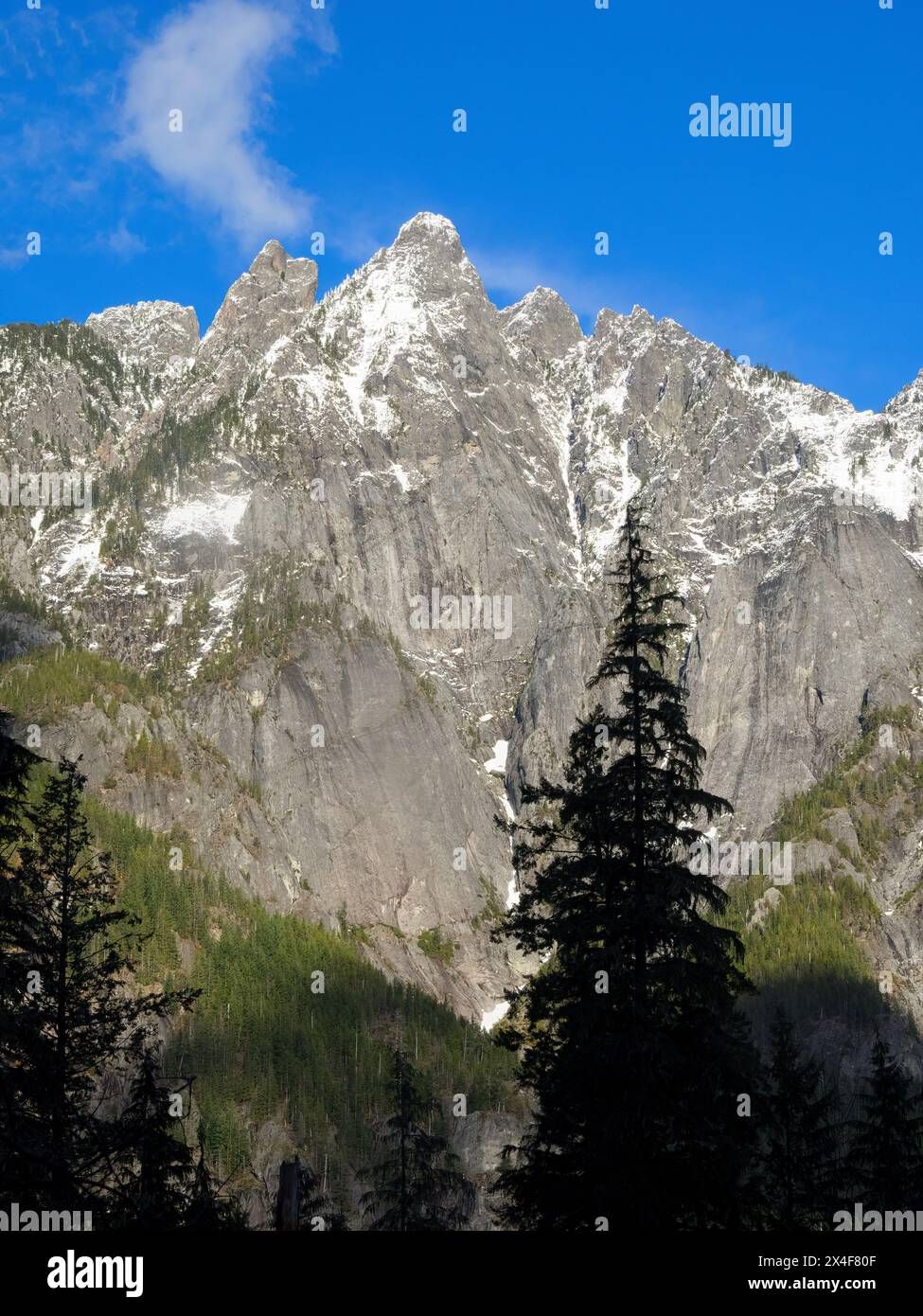 Stati Uniti, Stato di Washington. Cascate centrali, vette innevate del monte Garfield Foto Stock