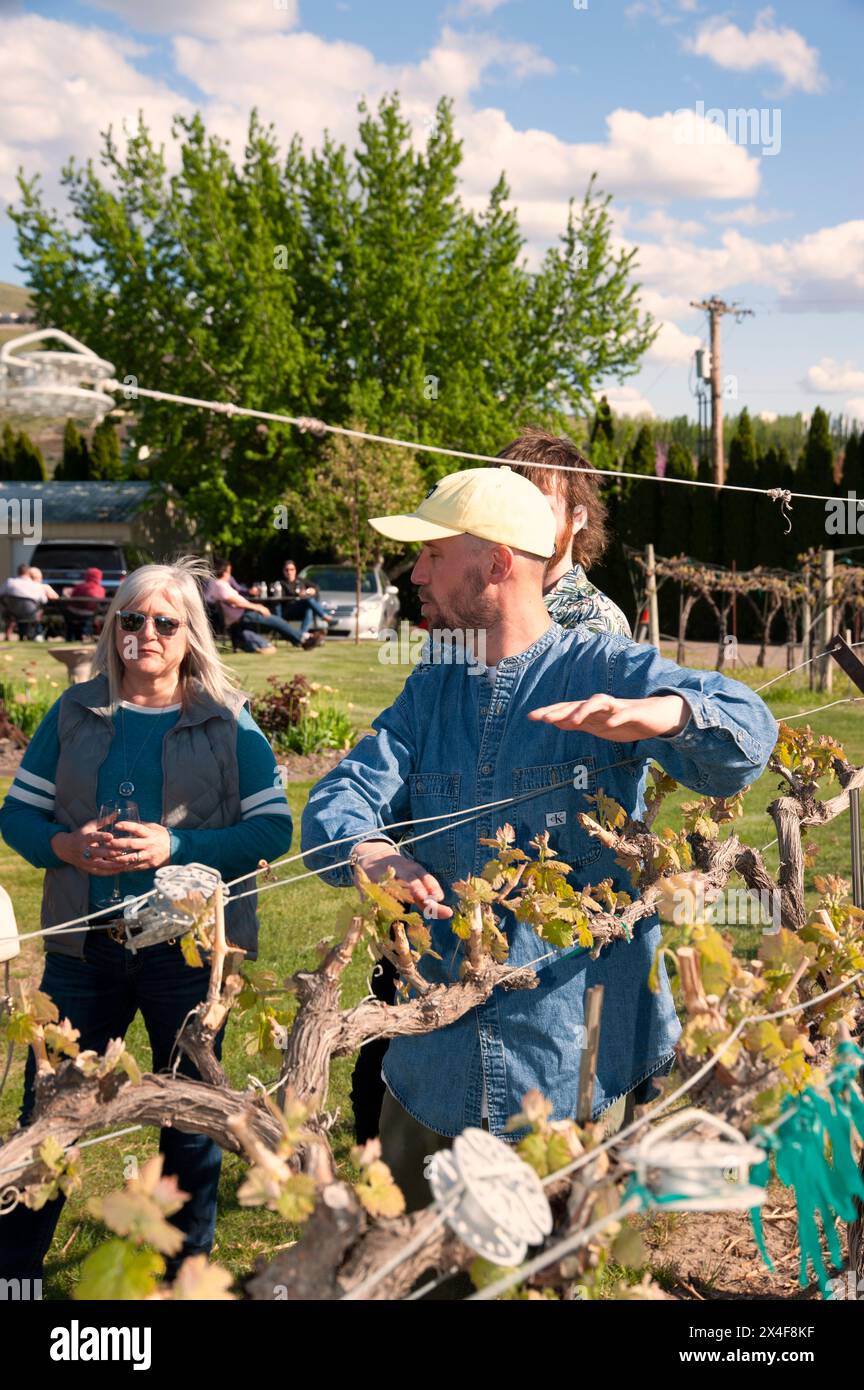 Stati Uniti, Stato di Washington, Yakima Valley. Gli ospiti visitano i vigneti della tenuta delle cantine Kitzke. (Solo per uso editoriale) Foto Stock