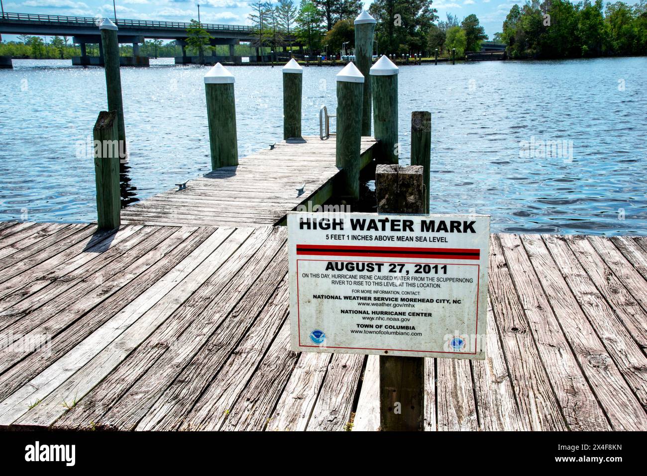 L'acqua è alta quando l'uragano Irene ha causato l'innalzamento dell'acqua dal fiume Scuppernong fino a oltre 5' sopra il livello del mare. Columbia, Carolina del Nord Foto Stock