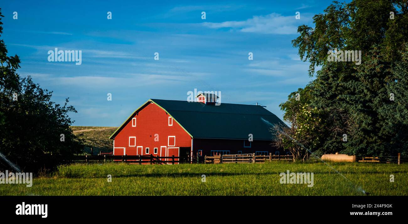 Stati Uniti, Stato di Washington, Walla Walla. I fienili rossi sono comuni nella comunità agricola di Walla Walla. (Solo per uso editoriale) Foto Stock