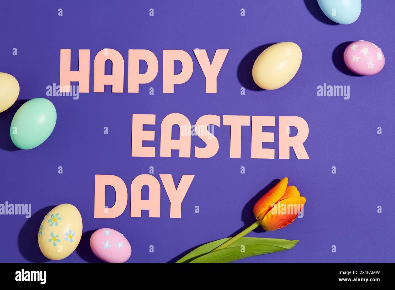Contenuto "buon giorno di Pasqua" con uova colorate e fiori d'arancia decorati su sfondo viola. Vista dall'alto, scenografia per banner o poster di design Foto Stock