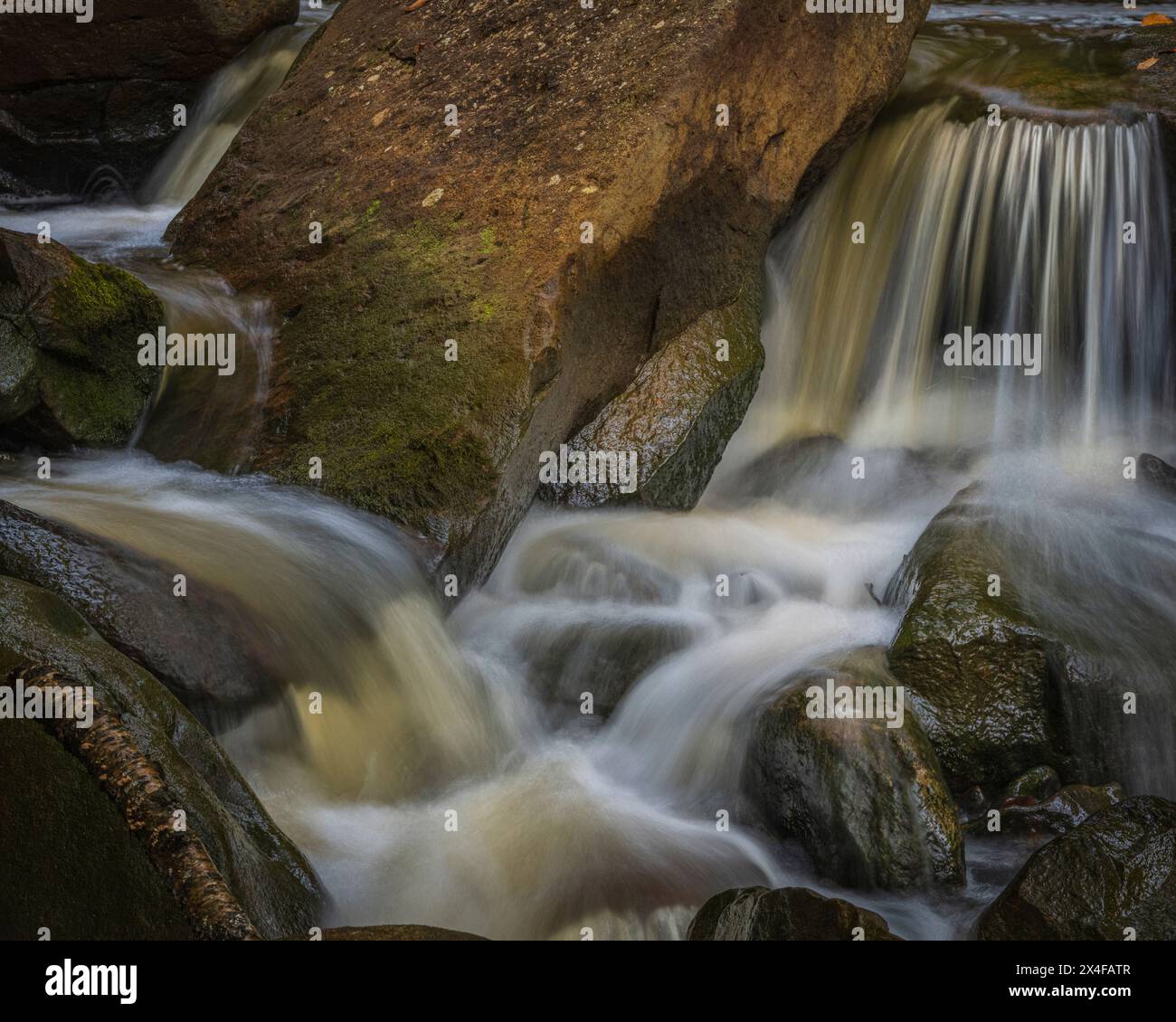 USA, West Virginia, Blackwater Falls State Park. Primo piano delle rapide che si arrampicano sulle rocce. Foto Stock