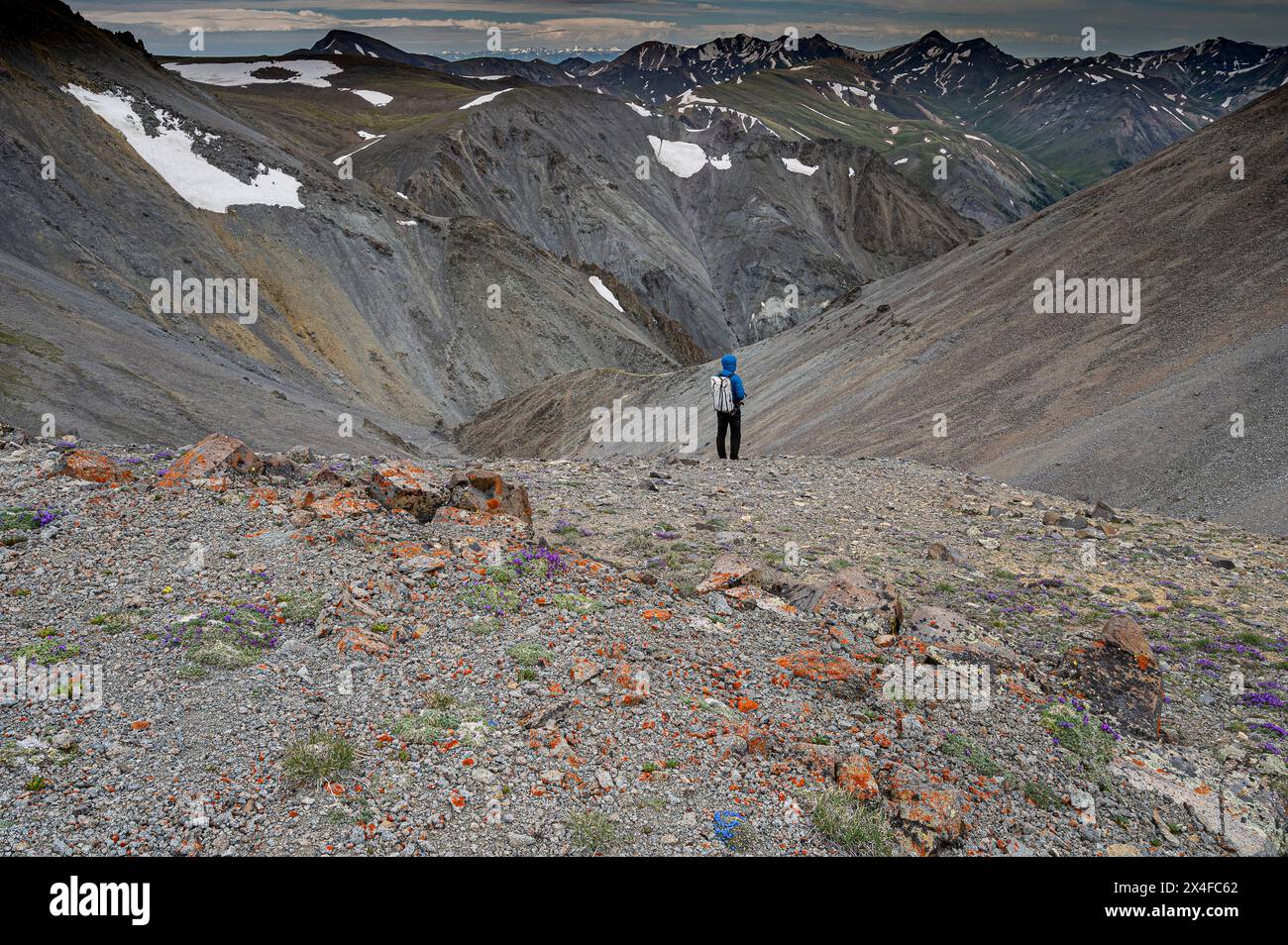 Stati Uniti, Wyoming. L'escursionista solitario ammira un paesaggio aspro, i monti Absaroka vicino a Cody. (Solo per uso editoriale) Foto Stock