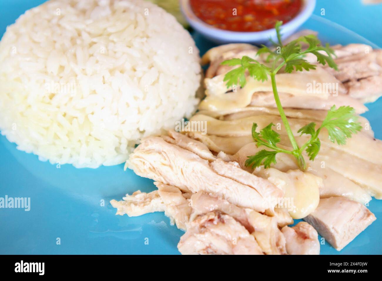 Pollo Hainanese riso Foto Stock