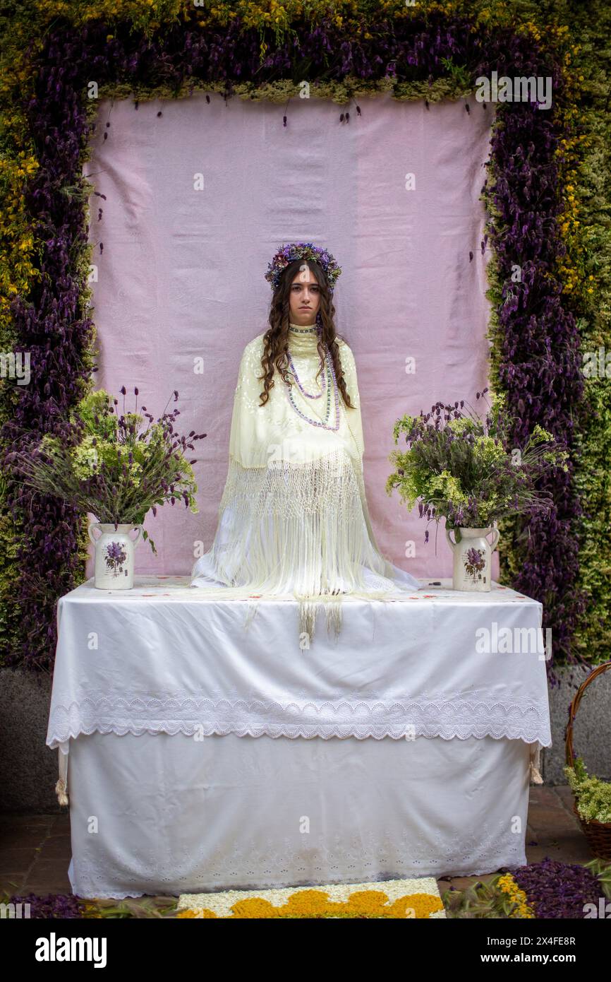 Colmenar Viejo, Spagna. 2 maggio 2024. Antia, 15 anni, vestita da Maya, rimane seduta su un altare, durante la celebrazione di "la Maya", nella città di Madrid di Colmenar Viejo. "La Maya" sono ragazze tra i 7 e i 14 anni che siedono per due ore in un altare decorato con fiori e piante per celebrare l'inizio della primavera. Questa tradizione originaria della città di Colmenar Viejo, Madrid, risale al medioevo, secondo antichi documenti. Credito: SOPA Images Limited/Alamy Live News Foto Stock