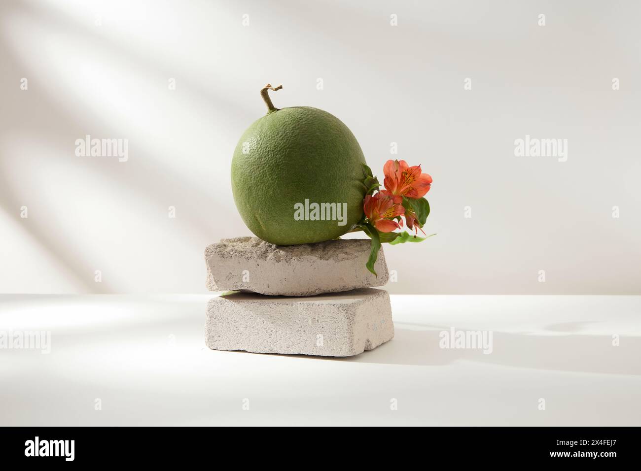 Scena minima per pubblicità di prodotti con ingredienti di pomelo. Vista frontale di un pomelo con fiori rossi esposti su una pila di mattoni grigi su bianco Foto Stock