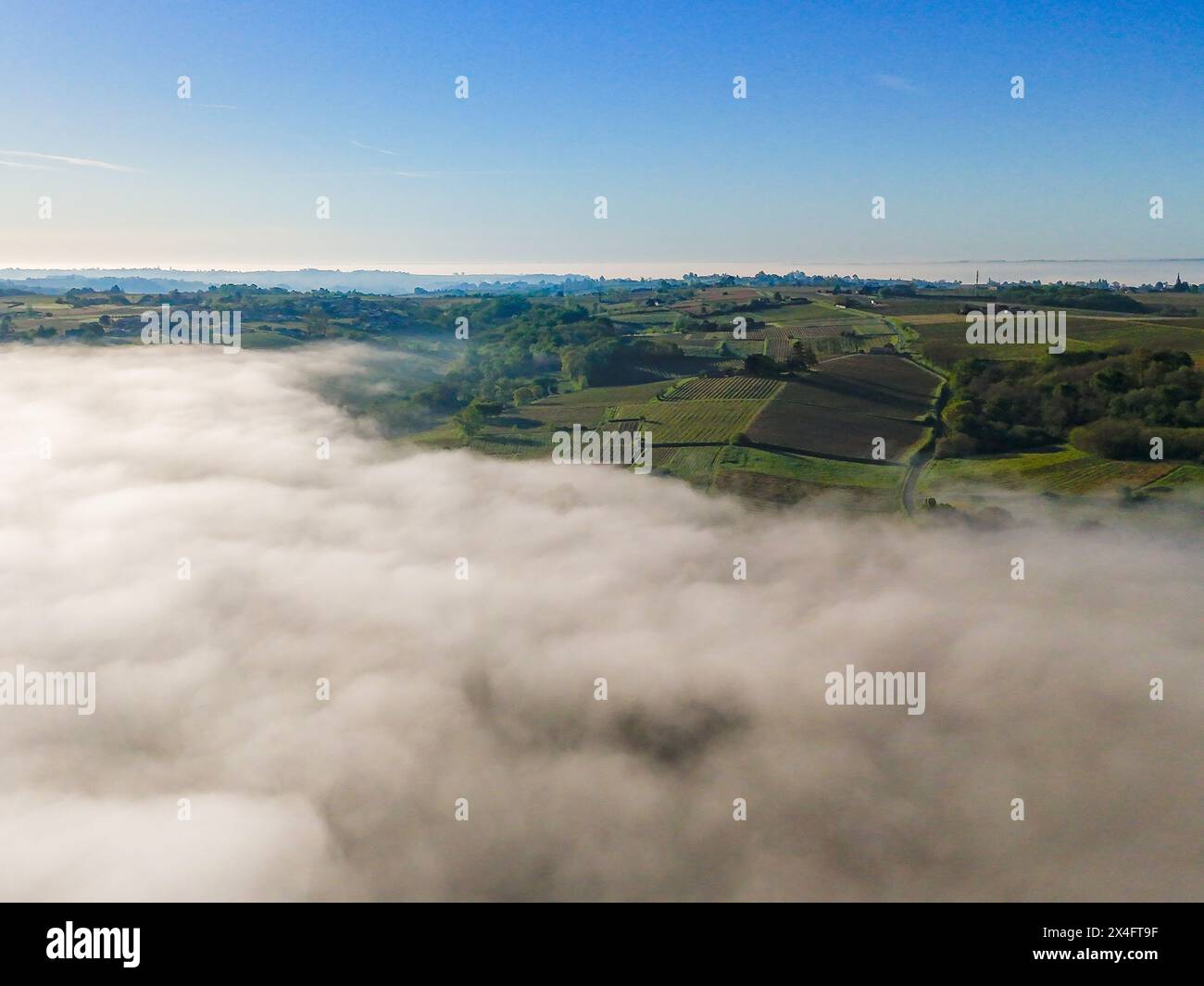 Veduta aerea dei vigneti di Bordeaux all'alba sotto la nebbia, Sainte-Croix-du-Mont, Gironde, Francia Foto Stock