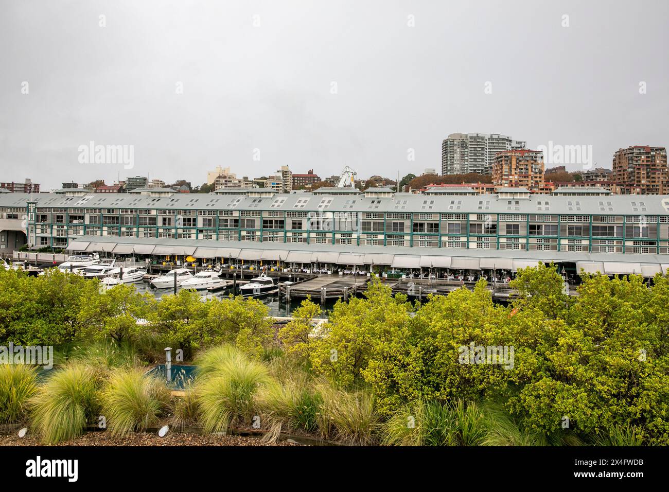 Woolloomooloo Wharf, noto anche come Finger Wharf, è il molo con pali di legno più lungo del mondo ed è patrimonio dell'umanità, Sydney, NSW, Australia Foto Stock