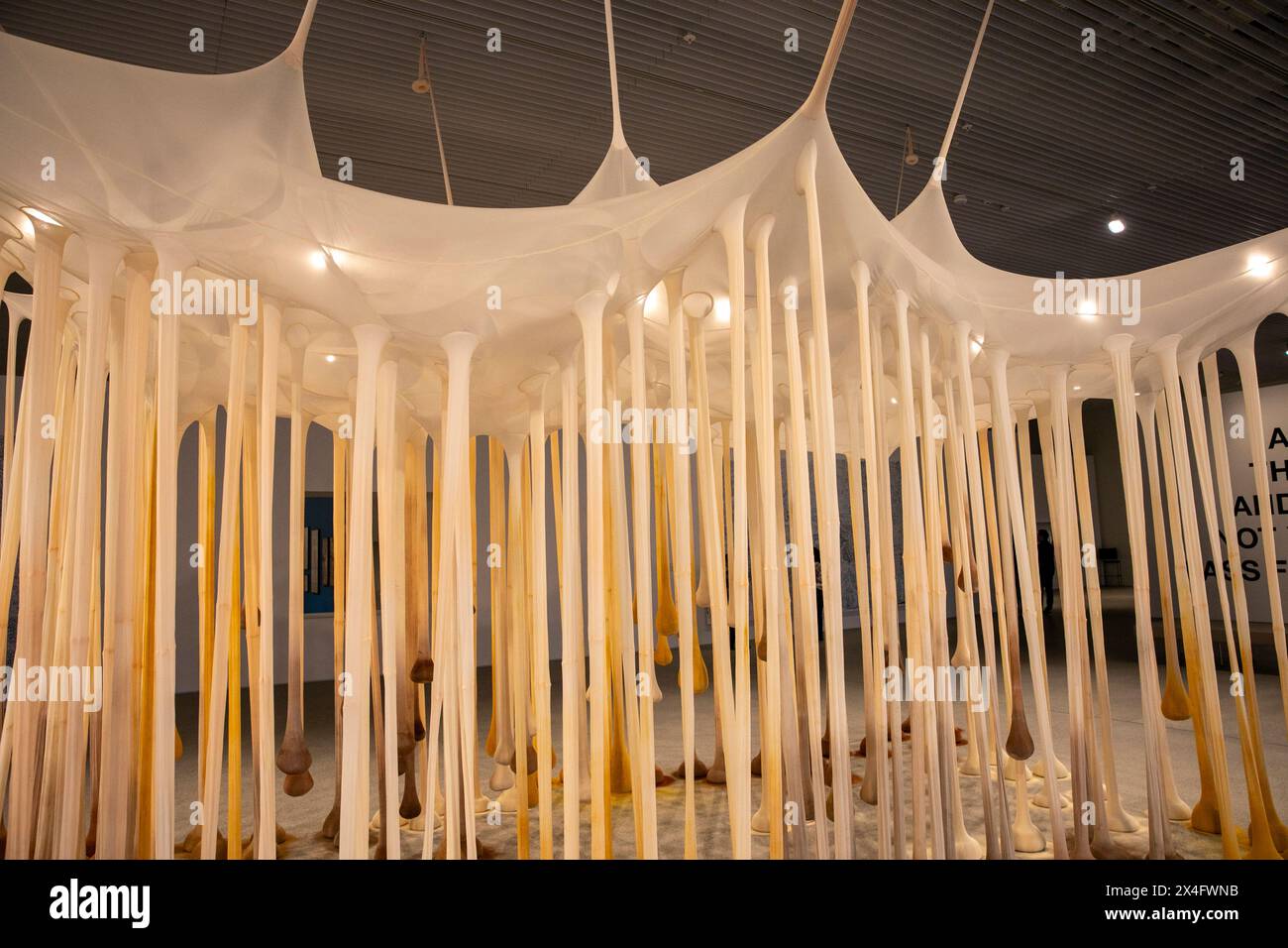 Ernesto Neto's, proprio come Drops in Time, Nothing art installation in Art Gallery of New South Wales extension Naala Badu building, Sydney, Australia Foto Stock